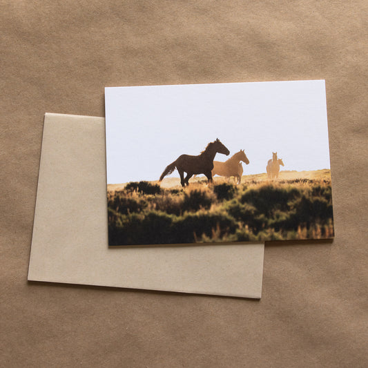 "MUSTANG DUO" Nature Notecards, Set of 2 Blank Landscape Photography Postcards