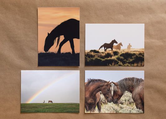 "MUSTANG MAGIC" Nature Notecards, Set of 4 Blank Horse Photography Postcards