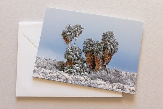 "DESERT CHILL" Nature Notecards, Set of 3 Blank Desert Photography Postcards