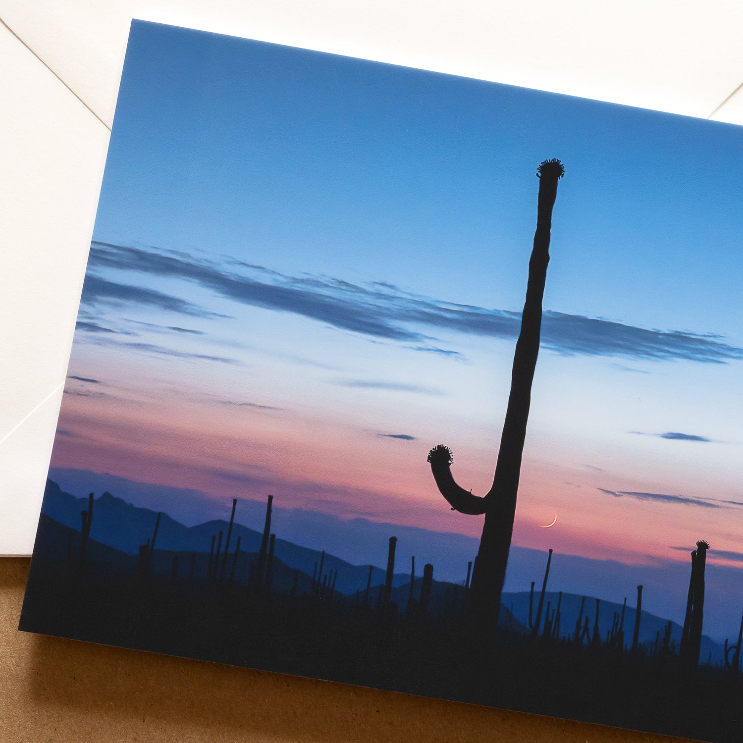 SUPER PHOTO NOTECARDS