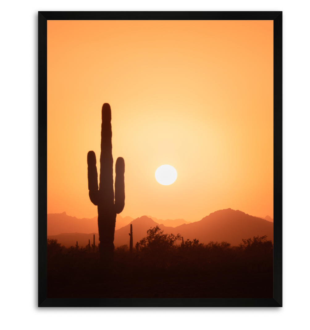 CUSTOM FRAMED "SAGUARO SUN" (11x14)