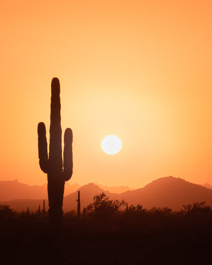 "SAGUARO SUN" Landscape Photography Print, Metal or Fine Art Paper