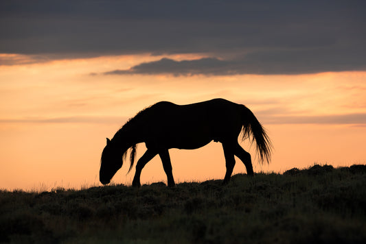 "WILDEST DREAMS" Landscape Photography Print, Metal or Fine Art Paper