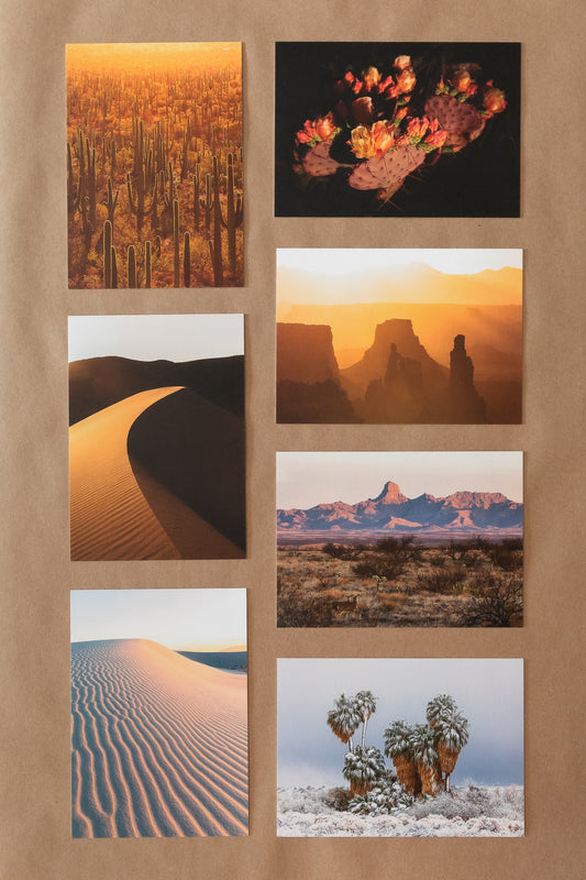 "DESERT DAYDREAMS" Nature Notecards, Set of 7 Blank Desert Photography Postcards