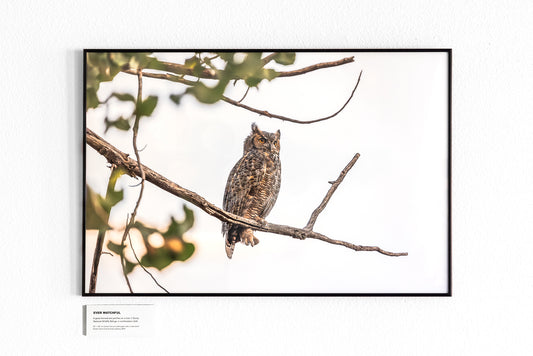 CUSTOM FRAMED "EVER WATCHFUL" (20x30)