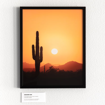 "SAGUARO SUN" Landscape Photography Print, Metal or Fine Art Paper