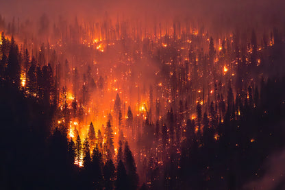 "EMBERS IN THE PINES" Landscape Photography Print, Metal or Fine Art Paper