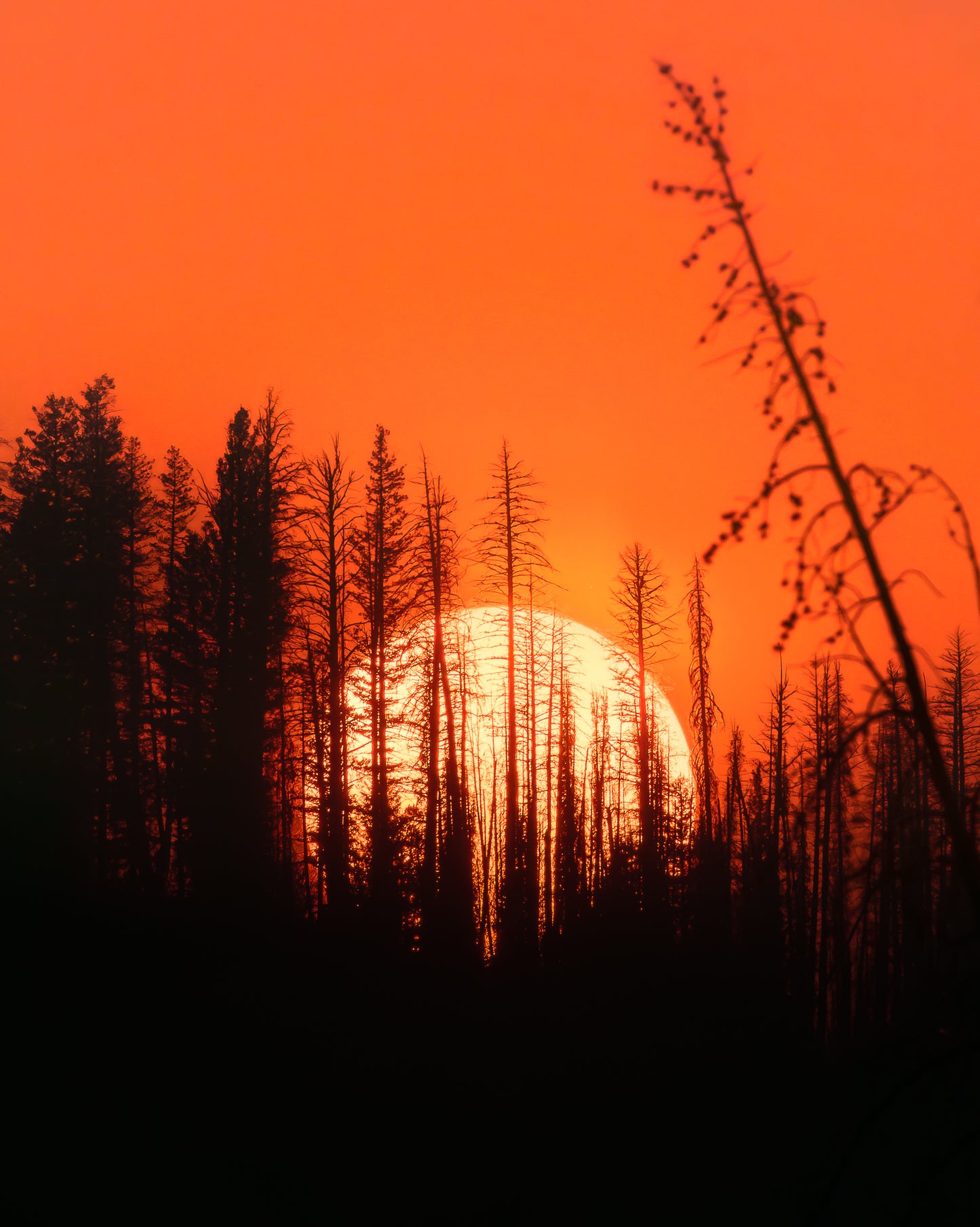 "BURNING SKIES" Nature Photography Print, Metal or Fine Art Paper