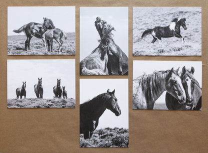 "WILD ONES II" Mustang Notecards, Set of 6 Blank Wild Horse Photography Postcards