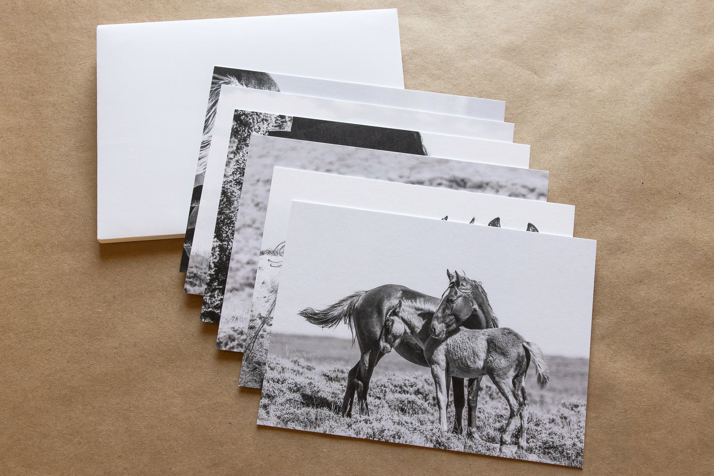 "WILD ONES II" Mustang Notecards, Set of 6 Blank Wild Horse Photography Postcards