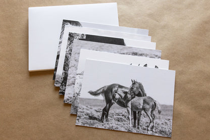"WILD ONES II" Mustang Notecards, Set of 6 Blank Wild Horse Photography Postcards