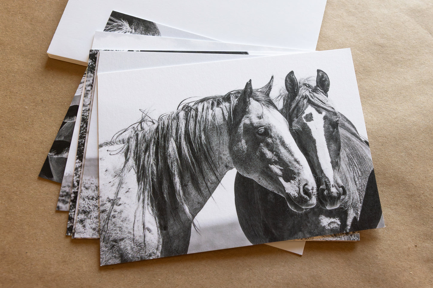 "WILD ONES II" Mustang Notecards, Set of 6 Blank Wild Horse Photography Postcards