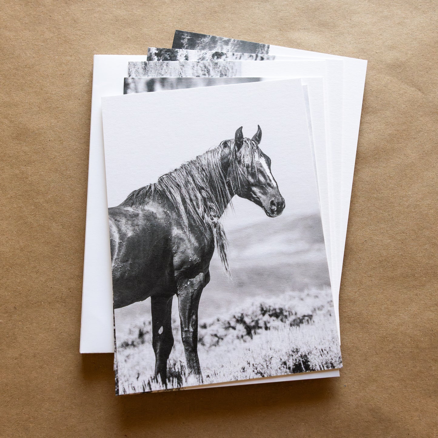 "WILD ONES I" Mustang Notecards, Set of 6 Blank Wild Horse Photography Postcards