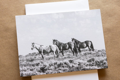 "WILD ONES I" Mustang Notecards, Set of 6 Blank Wild Horse Photography Postcards