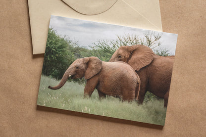 "AFRICAN ADVENTURE I" Nature Notecards, Set of 5 Blank Africa Photography Postcards