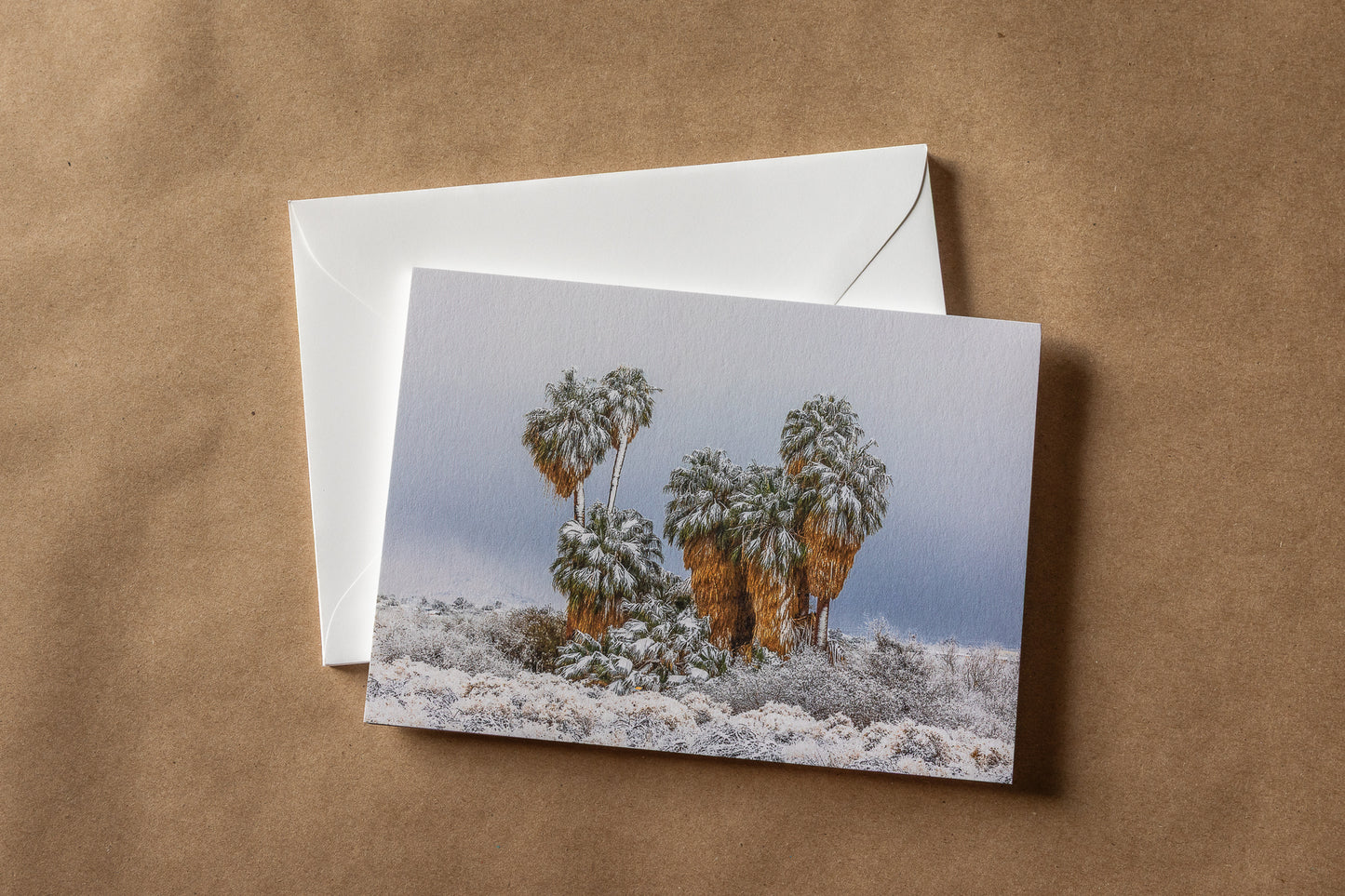 "DESERT DAYDREAMS" Nature Notecards, Set of 7 Blank Desert Photography Postcards