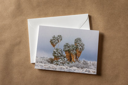 "DESERT DAYDREAMS" Nature Notecards, Set of 7 Blank Desert Photography Postcards