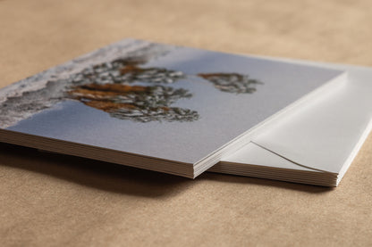 "DESERT DAYDREAMS" Nature Notecards, Set of 7 Blank Desert Photography Postcards