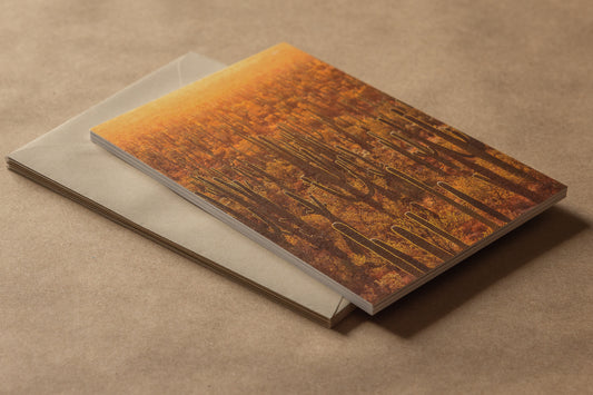 "DESERT DAYDREAMS" Nature Notecards, Set of 7 Blank Desert Photography Postcards