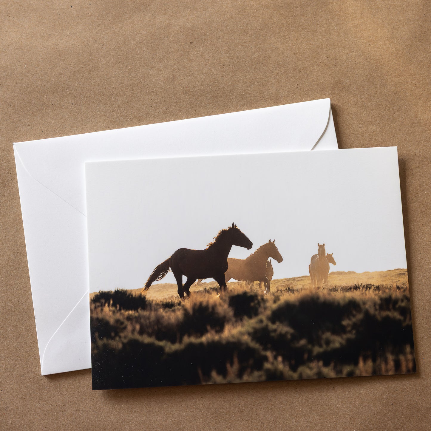 "MUSTANG MAGIC" Nature Notecards, Set of 4 Blank Horse Photography Postcards