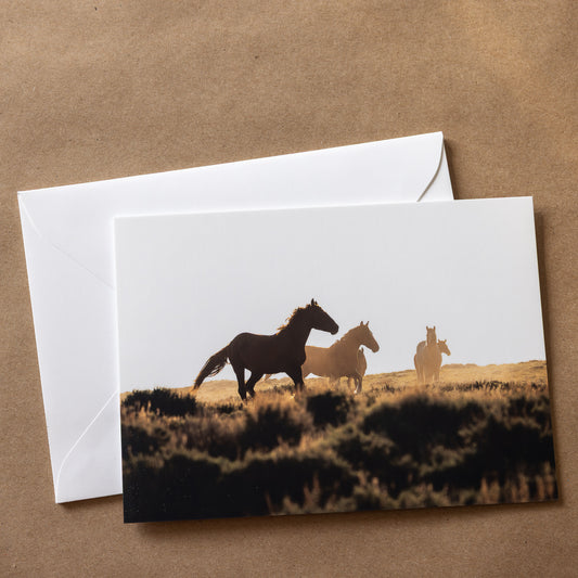"MUSTANG MAGIC" Nature Notecards, Set of 4 Blank Horse Photography Postcards