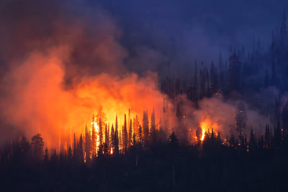 "BLUE HOUR BURNING" Wildfire Photography Print, Metal or Fine Art Paper