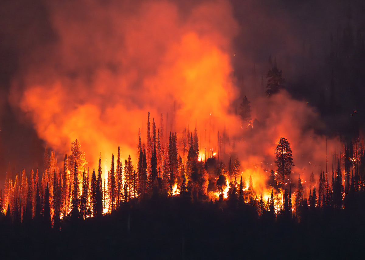"BURNING DESIRE" Wildfire Photography Print, Metal or Fine Art Paper