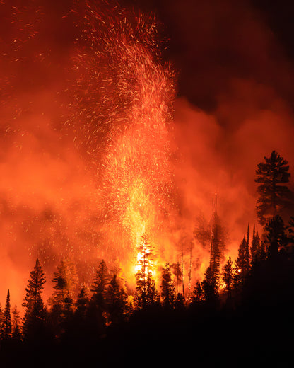 "FIRECRACKER" Wildfire Photography Print, Metal or Fine Art Paper