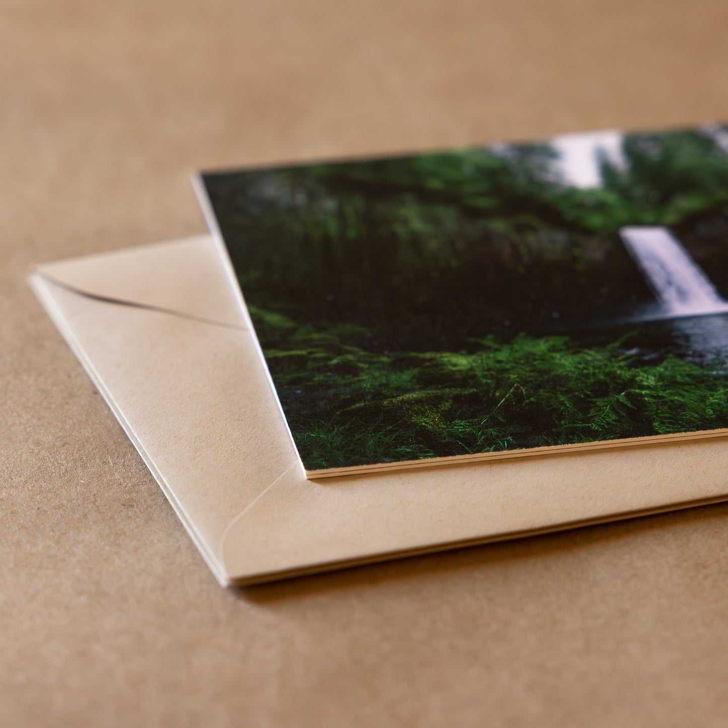 "PNW DUO" Nature Notecards, Set of 2 Blank Landscape Photography Postcards