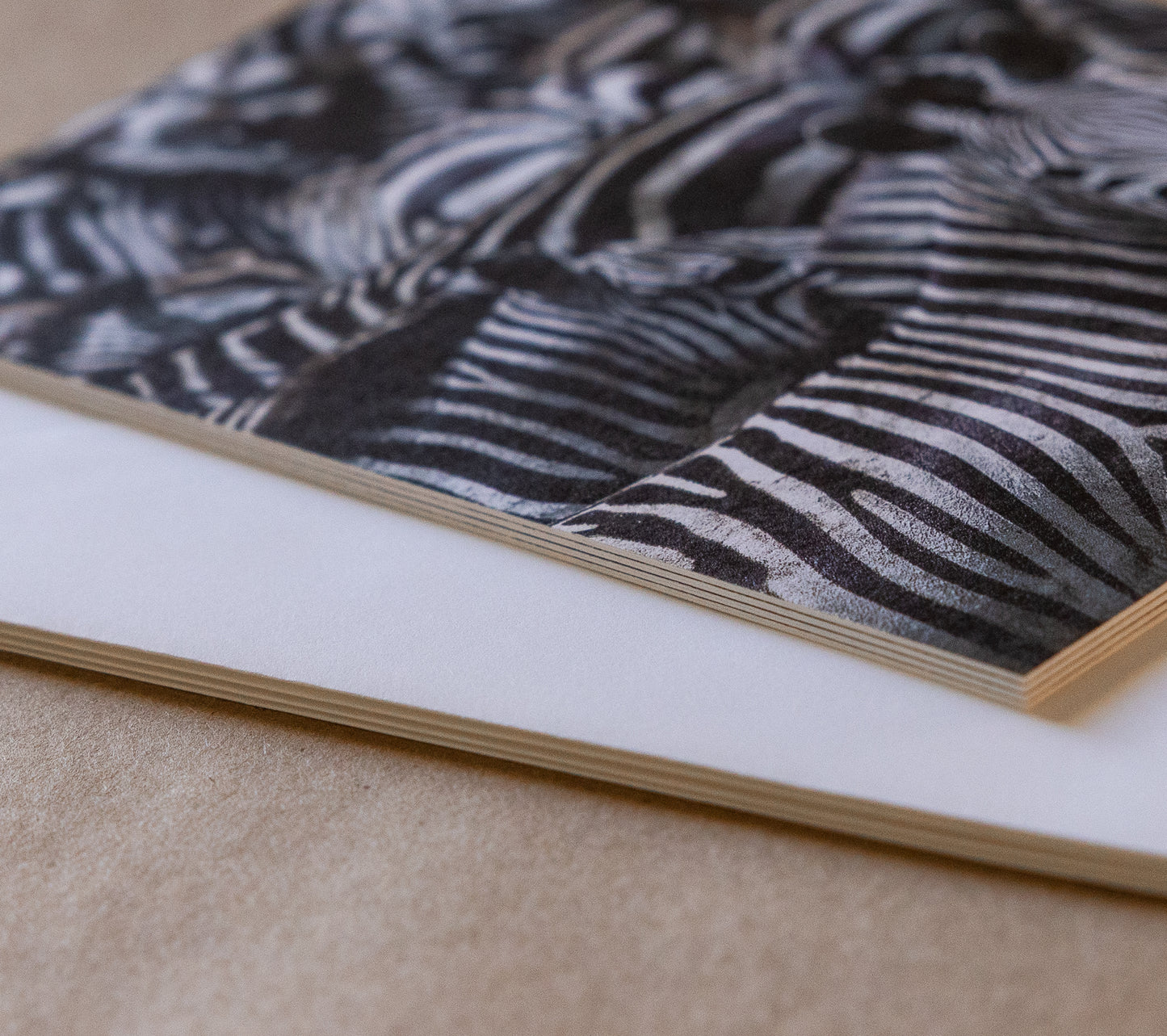 "AFRICAN ADVENTURE I" Nature Notecards, Set of 4 Blank Africa Photography Postcards
