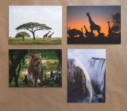 "AFRICAN ADVENTURE III" Nature Notecards, Set of 4 Blank Africa Photography Postcards