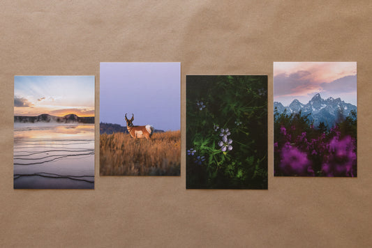 "MOUNTAIN WEST" Nature Notecards, Set of 4 Blank Landscape Photography Postcards