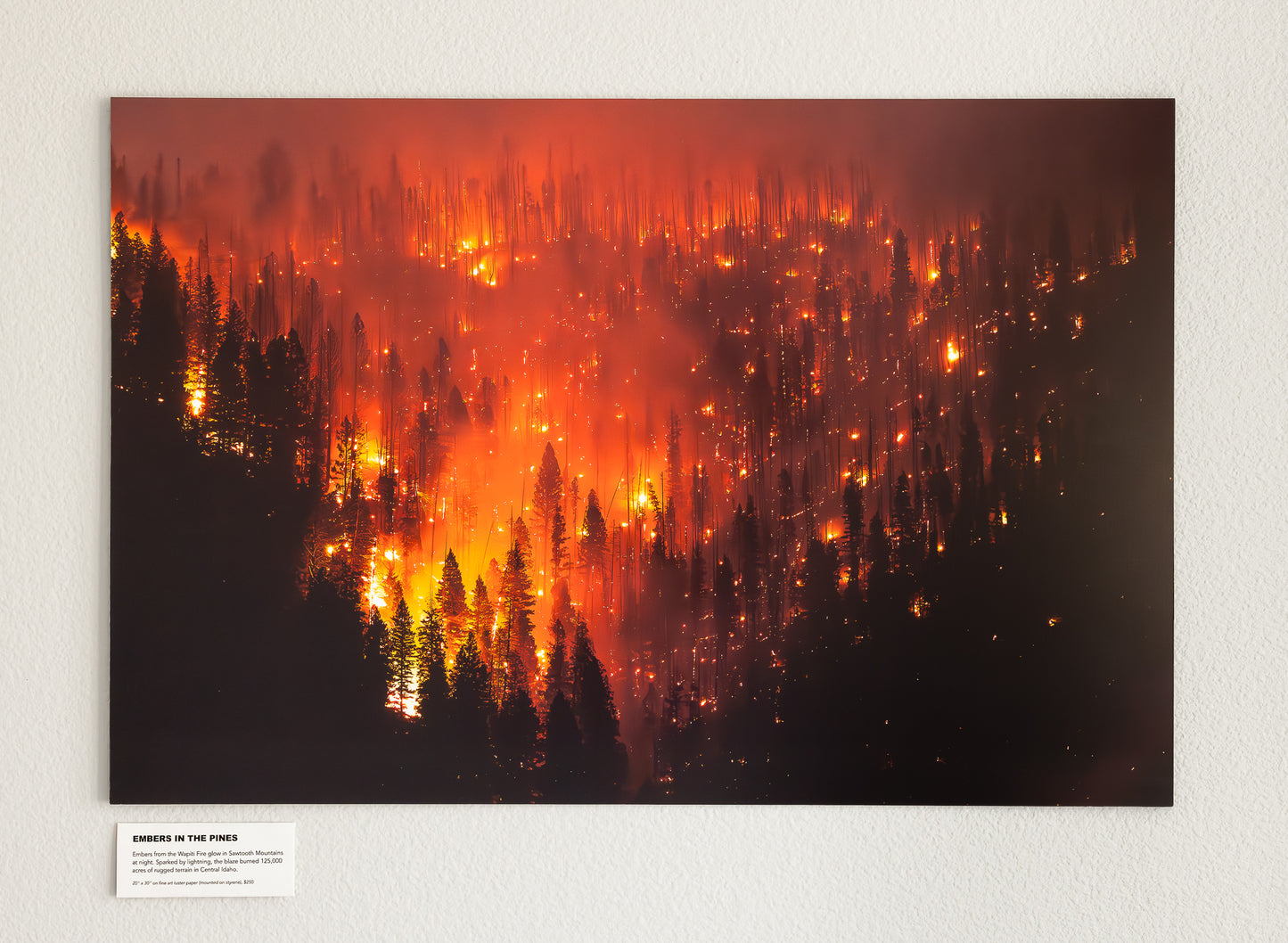 "EMBERS IN THE PINES" Landscape Photography Print, Metal or Fine Art Paper