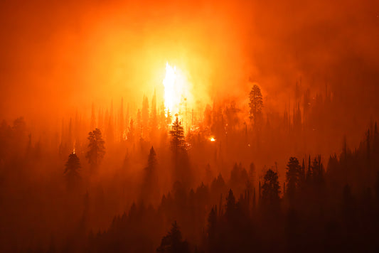 "TORCH" Wildfire Photography Print, Metal or Fine Art Paper