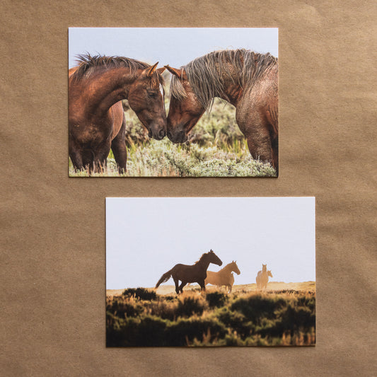 "MUSTANG DUO" Nature Notecards, Set of 2 Blank Landscape Photography Postcards