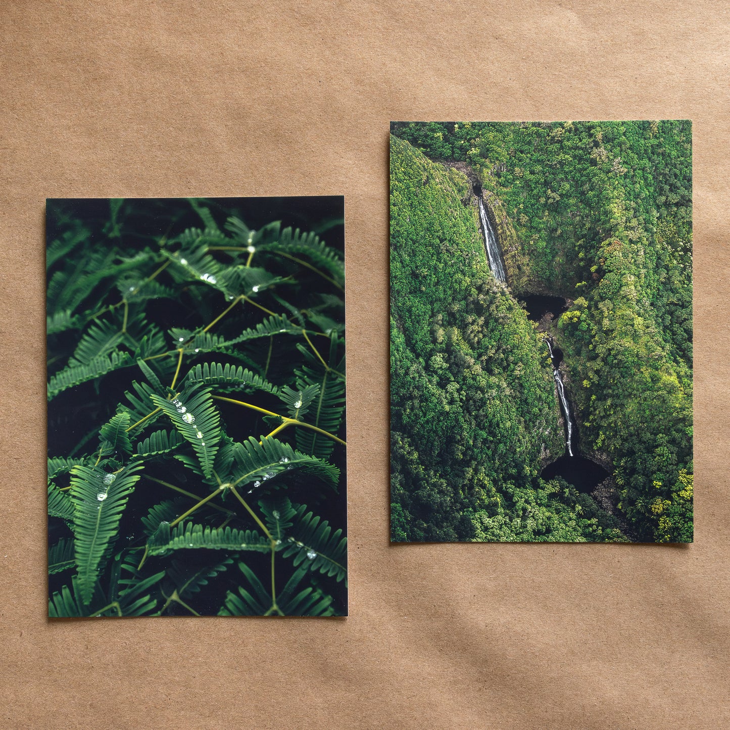 "TROPICAL" Nature Notecards, Set of 2 Blank Landscape Photography Postcards