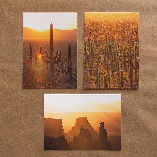 "DESERT GOLD" Nature Notecards, Set of 3 Blank Desert Photography Postcards