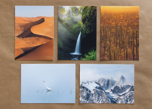"FAVORITES" Nature Notecards, Set of 5 Blank Landscape Photography Postcards