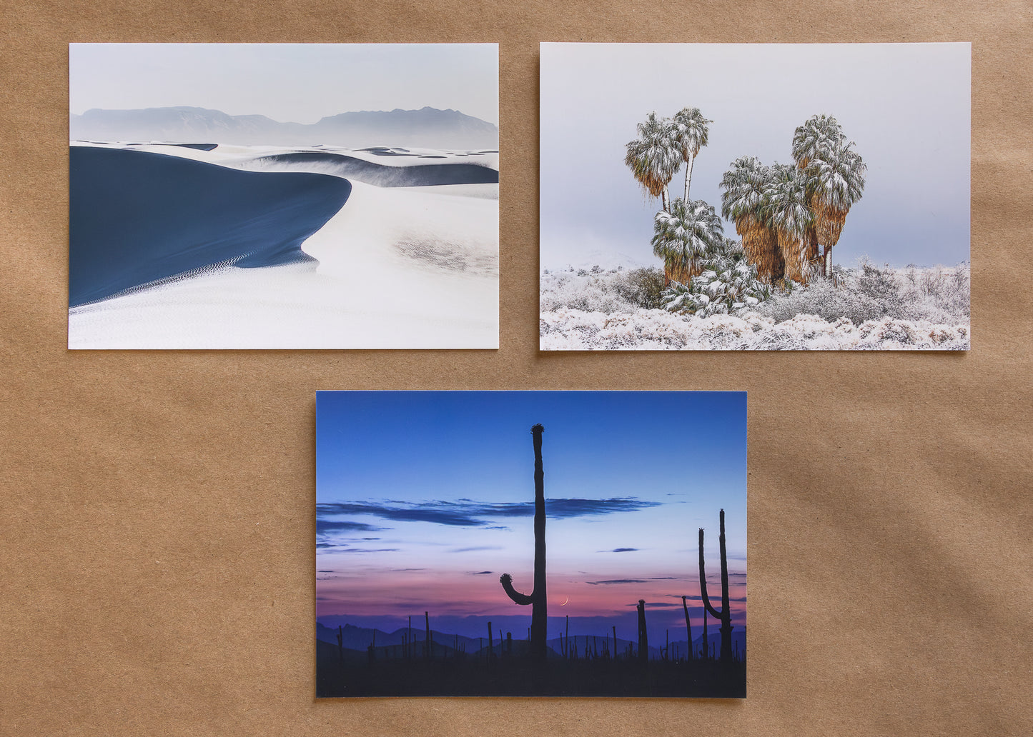 "DESERT CHILL" Nature Notecards, Set of 3 Blank Desert Photography Postcards