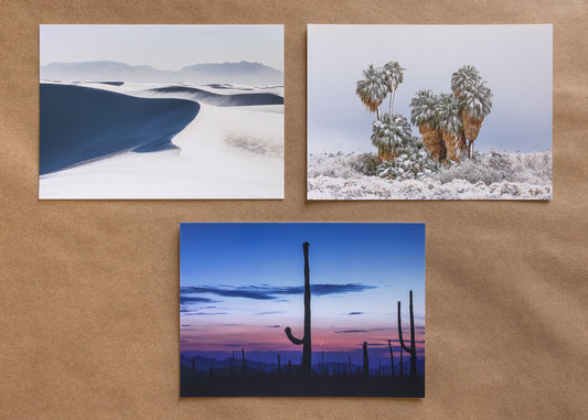 "DESERT CHILL" Nature Notecards, Set of 3 Blank Desert Photography Postcards