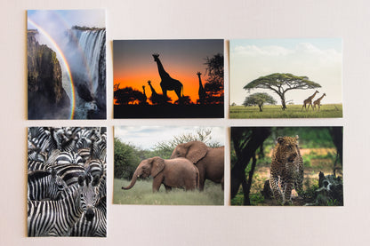 "AFRICAN ADVENTURE" Nature Notecards, Set of 6 Blank Africa Photography Postcards