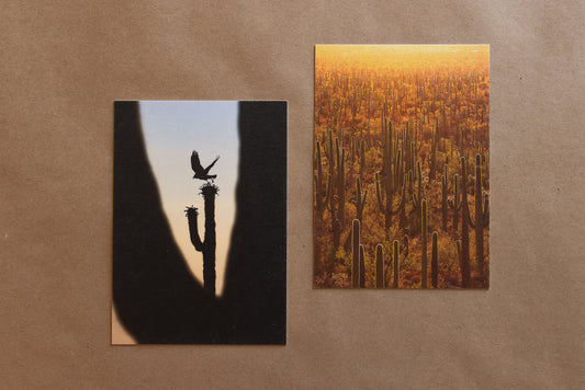 "SAGUARO DUO" Nature Notecards, Set of 2 Blank Desert Photography Postcards