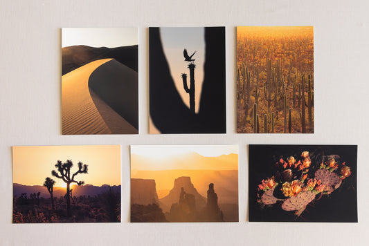 "DIVINE DESERTS" Nature Notecards, Set of 6 Blank Desert Photography Postcards