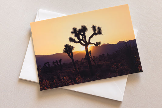 "DIVINE DESERTS" Nature Notecards, Set of 6 Blank Desert Photography Postcards