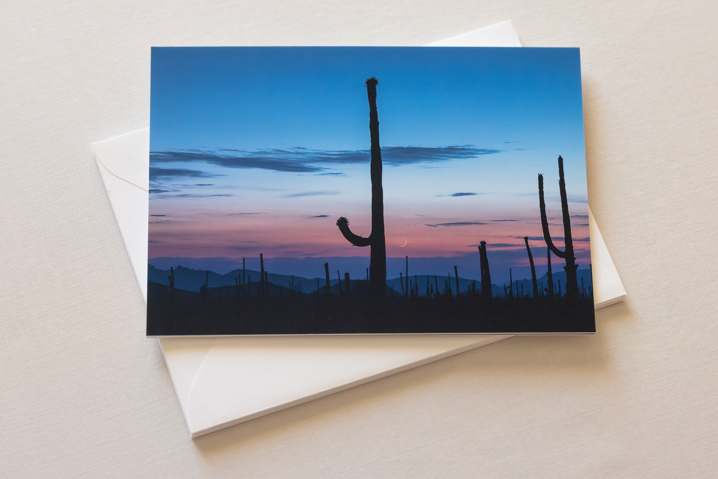 "DESERT DREAMS" Nature Notecards, Set of 6 Blank Desert Photography Postcards