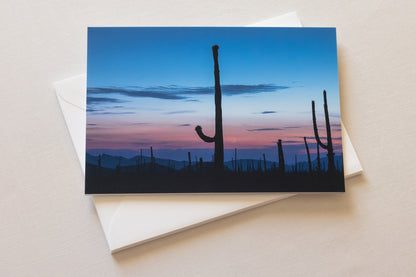 "DESERT DREAMS" Nature Notecards, Set of 6 Blank Desert Photography Postcards
