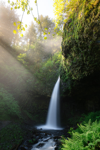 "LATOURELL LIGHT" Landscape Photography Print, Metal or Fine Art Paper