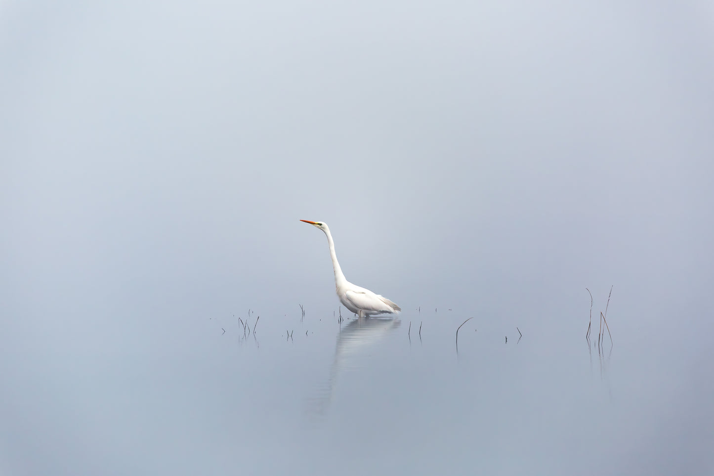 "SOLITUDE" Landscape Photography Print, Metal or Fine Art Paper