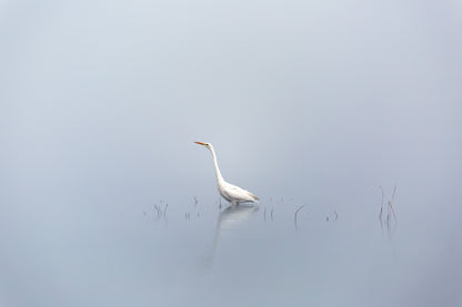 "SOLITUDE" Landscape Photography Print, Metal or Fine Art Paper