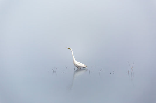 "SOLITUDE" Landscape Photography Print, Metal or Fine Art Paper